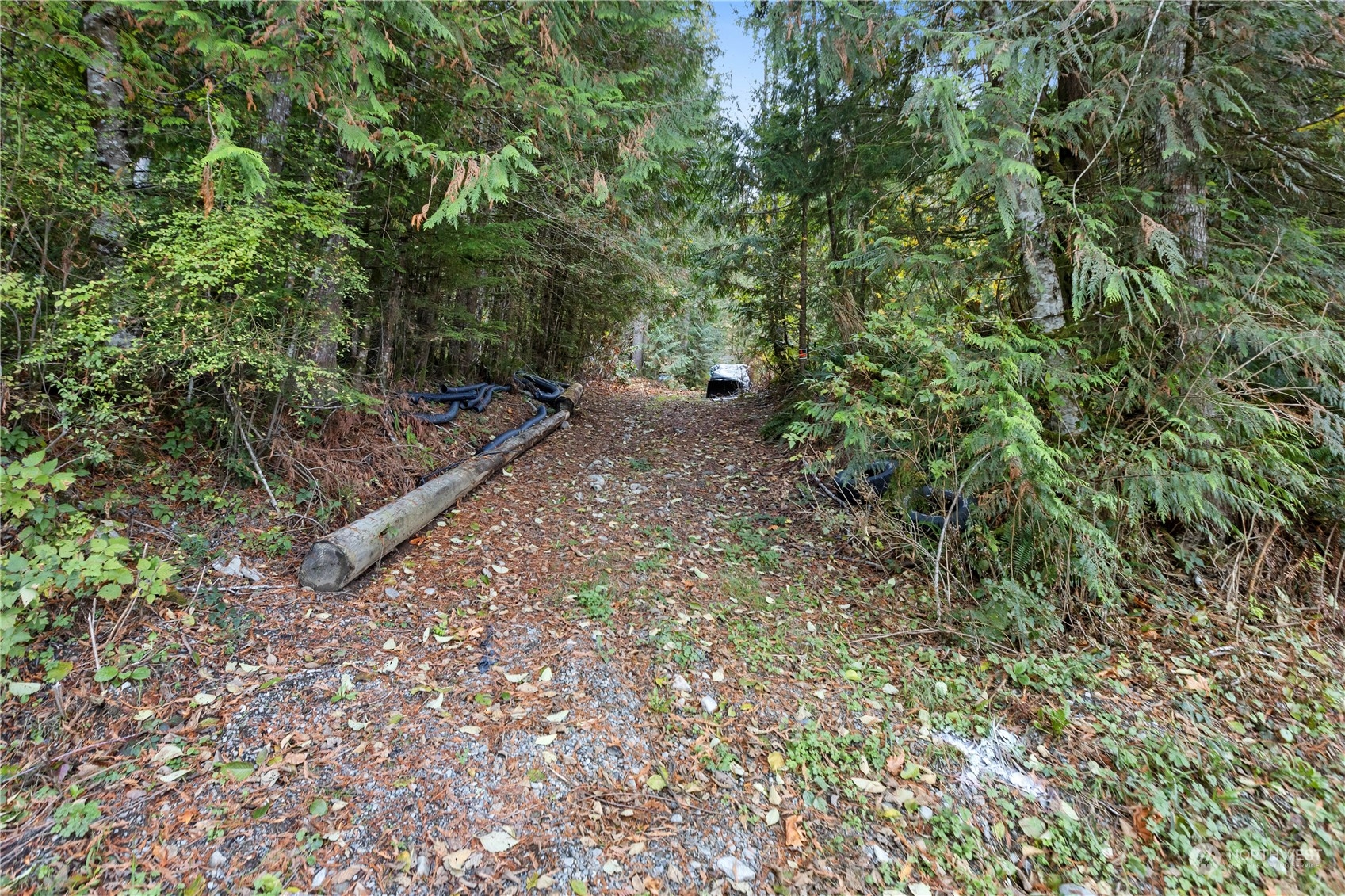 52202 South Riverside Road Gold Bar, WA 98251 - Photo 4 of 17 a backyard of a house with lots of green space