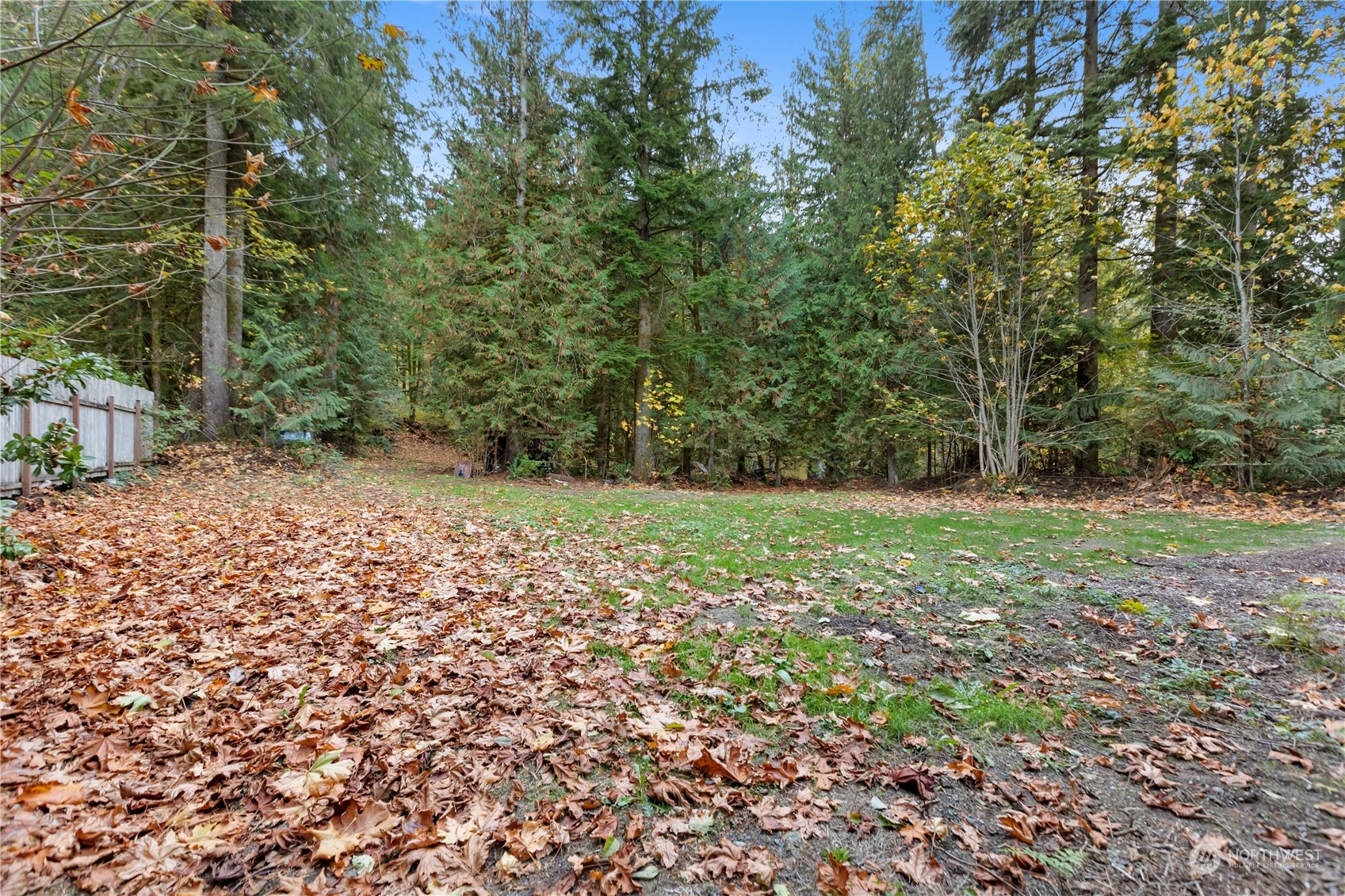 52202 South Riverside Road Gold Bar, WA 98251 - Photo 5 of 17 a view of a yard with a tree
