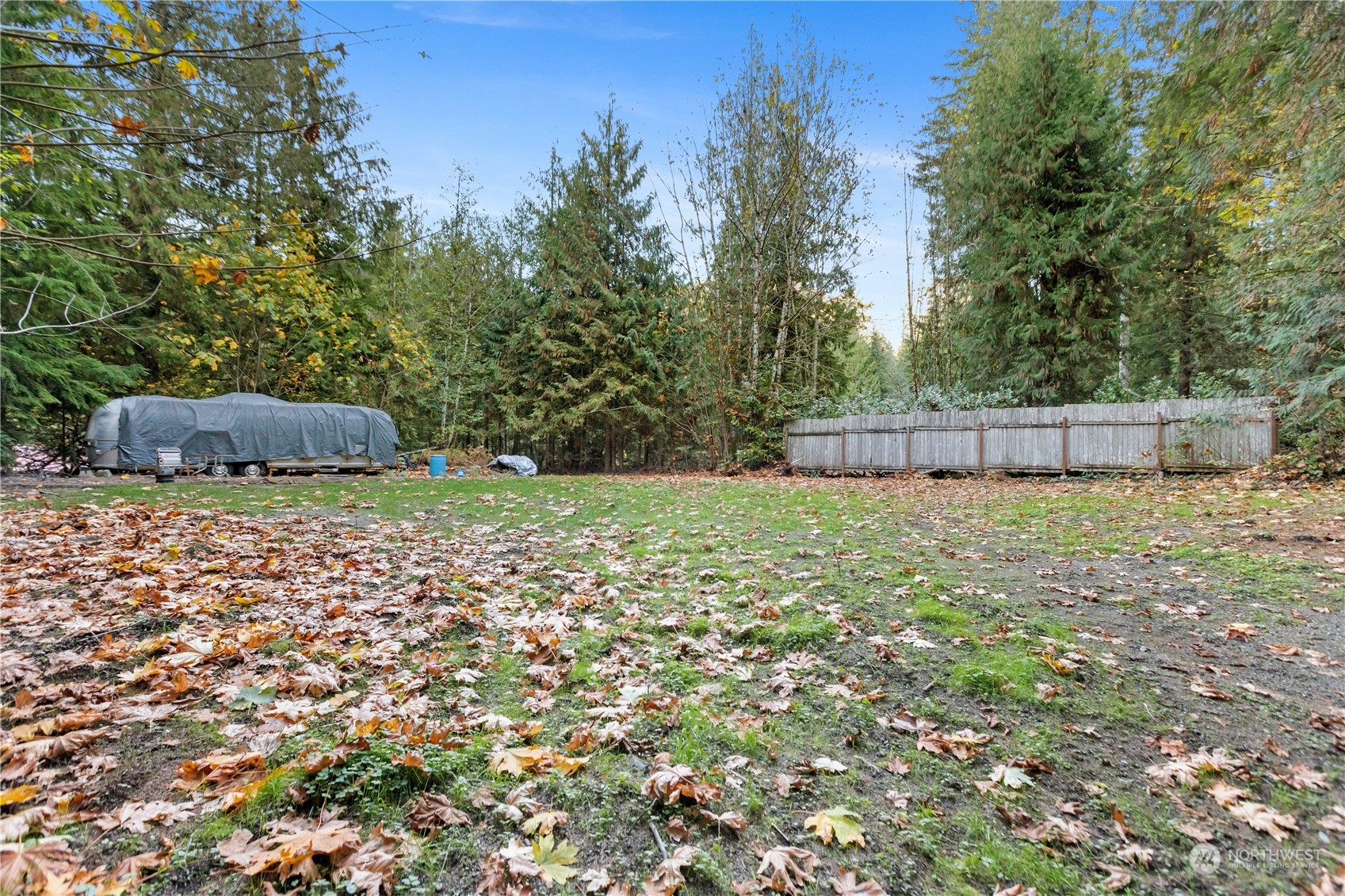 52202 South Riverside Road Gold Bar, WA 98251 - Photo 7 of 17 a couple of some potted plants and large trees