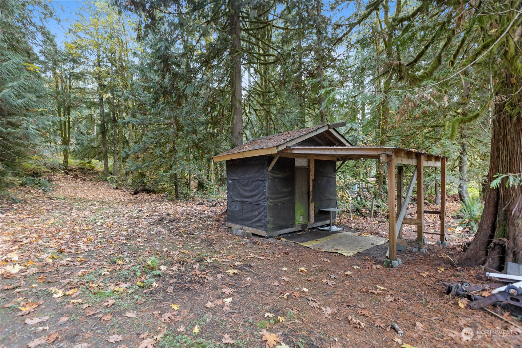 52202 South Riverside Road Gold Bar, WA 98251 - Photo 9 of 17 a view of a house with a yard