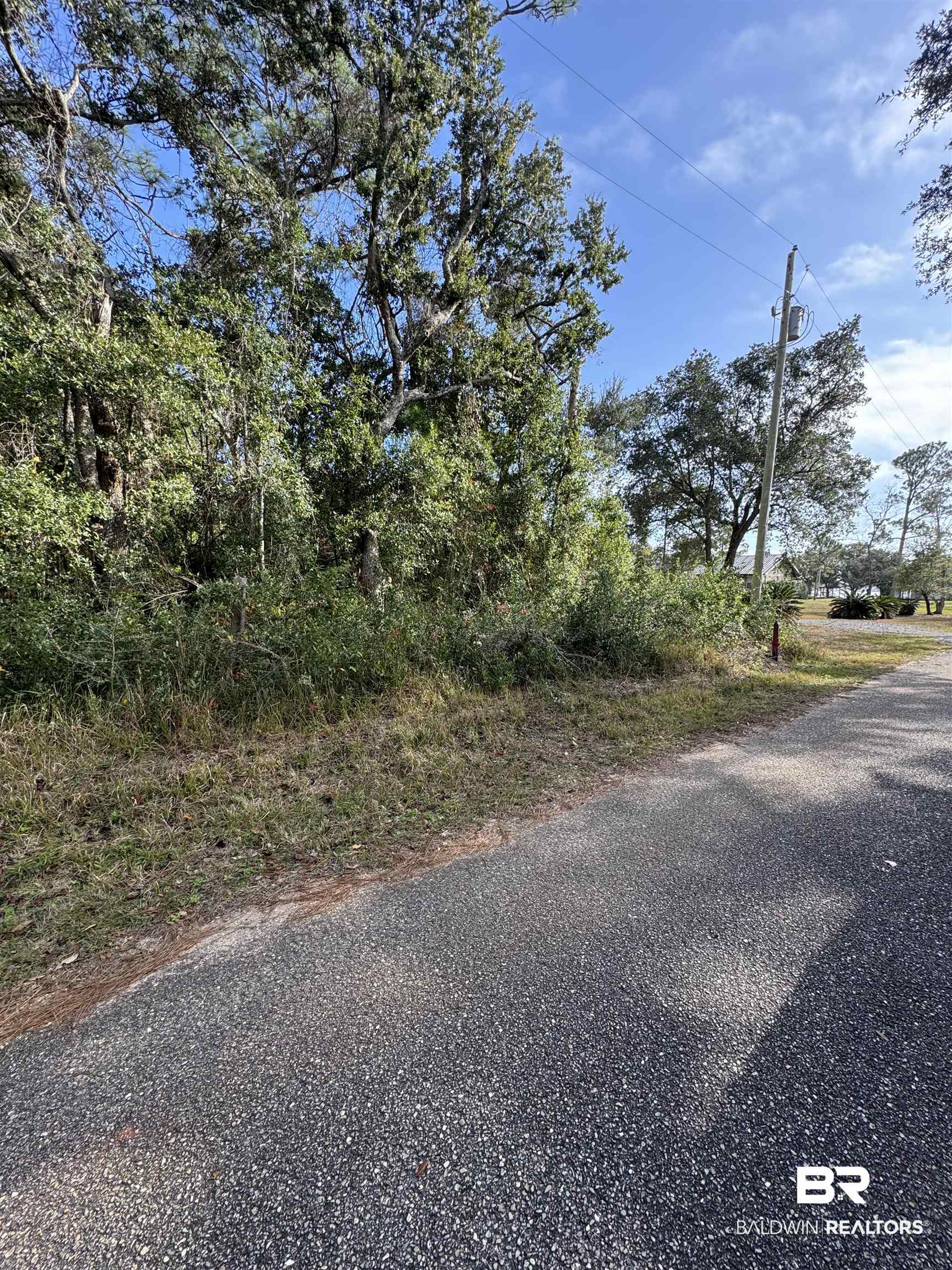 0 Marjon Lane Elberta, AL 36530 - Photo 2 of 11 View of road