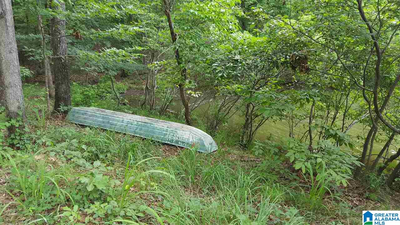 11-acres Deer Run Road, Unit 148330000001 010 Alabaster, AL 35007 - Photo 10 of 34