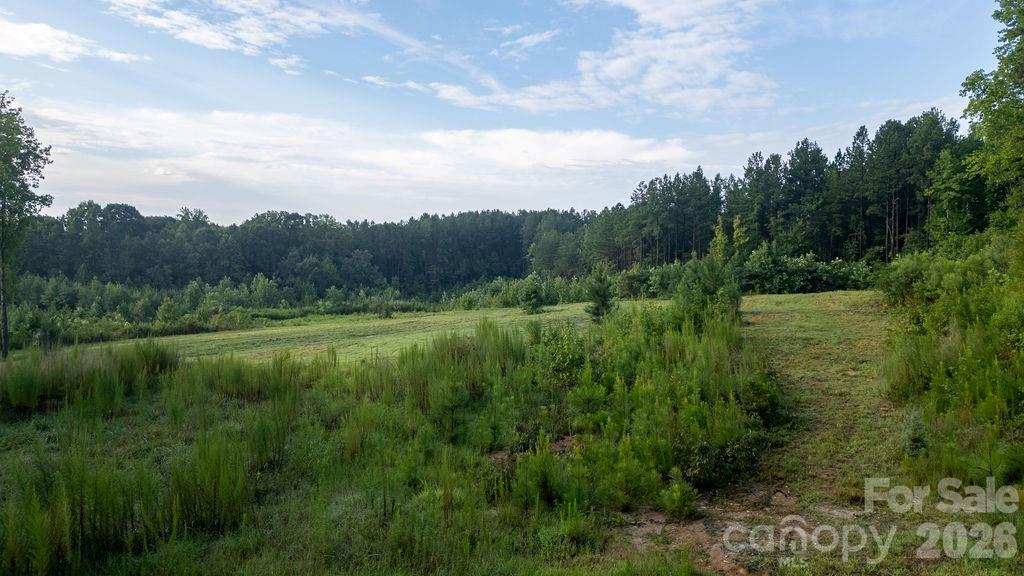 0 Hill Road Lincolnton, NC 28092 - Photo 3 of 6 Gallery Image 3