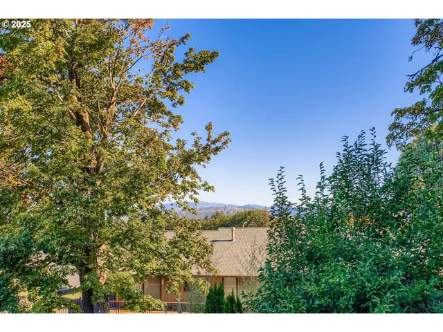 a view of a tree with a tree in front of it