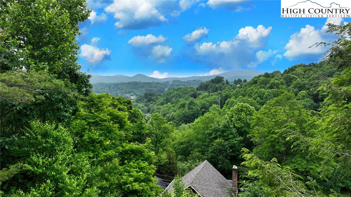 208 Rainbow Trail Boone, NC 28607 - Photo 7 of 47 Gallery Image 7