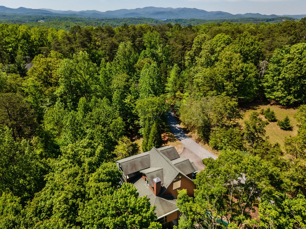 547 Echo Road Morganton, GA 30560 - Photo 3 of 54