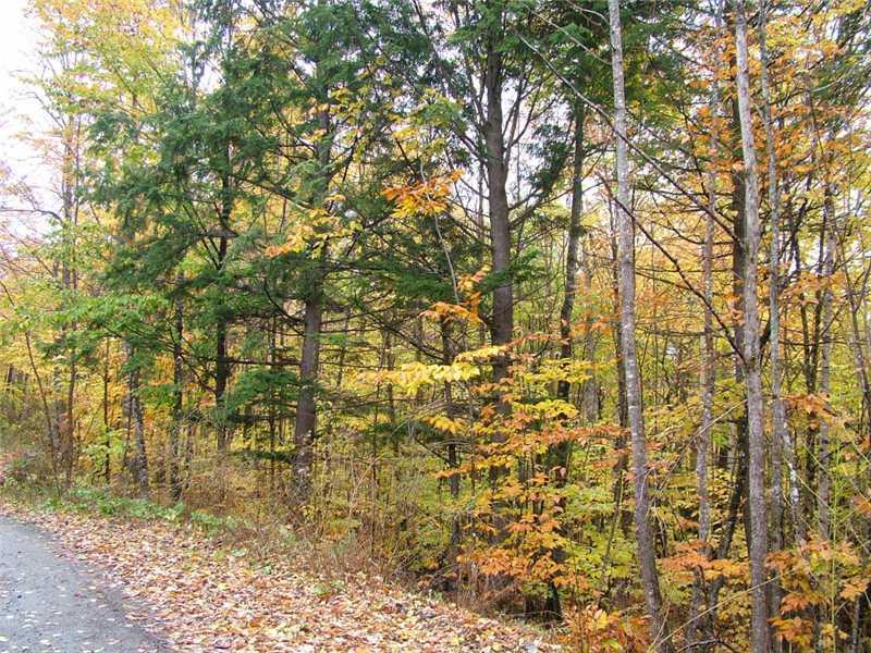 Lot22 Access Road Houlton, ME 04730 - Photo 11 of 13 Land/Lot.