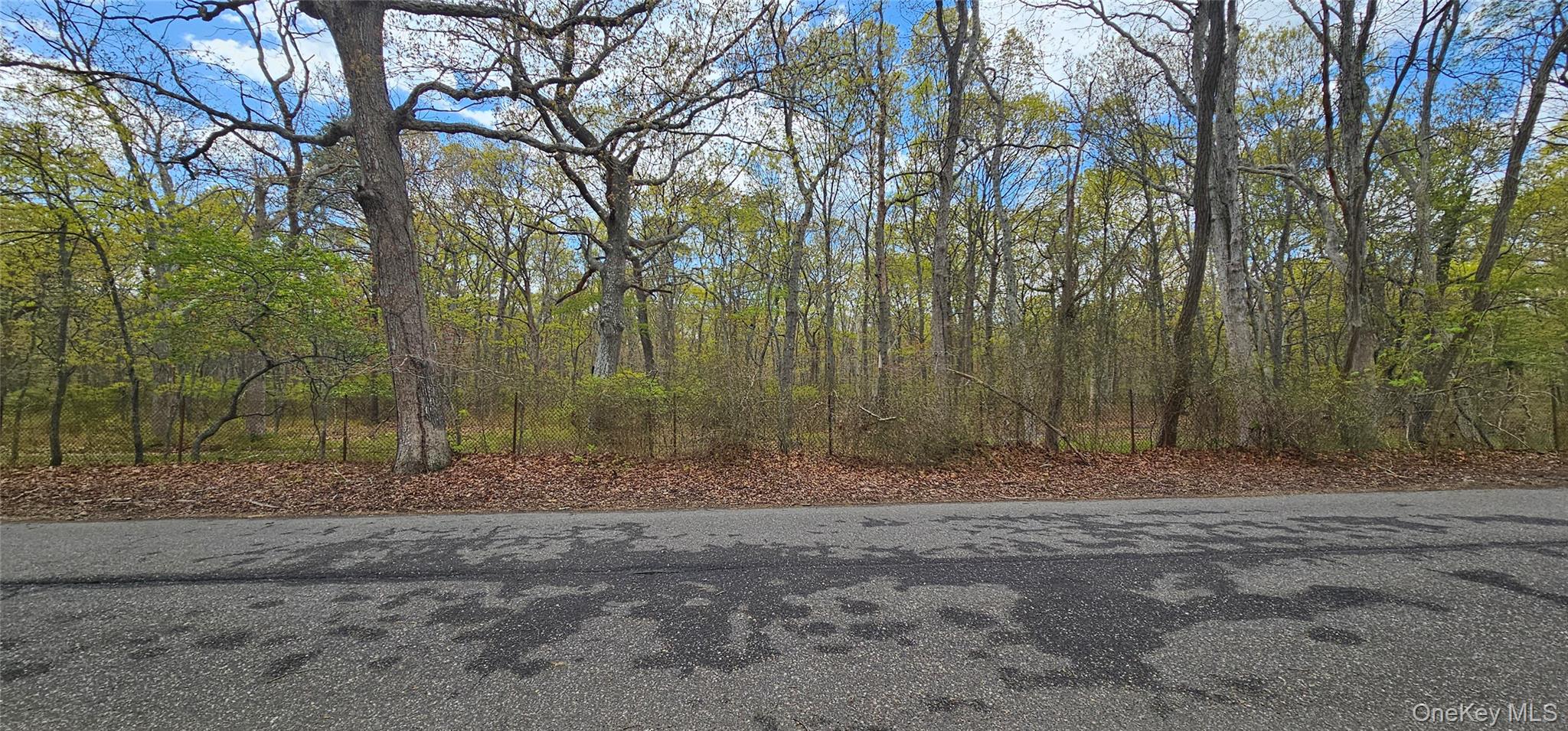 61 Timber Point Road Great River, NY 11739 - Photo 4 of 5