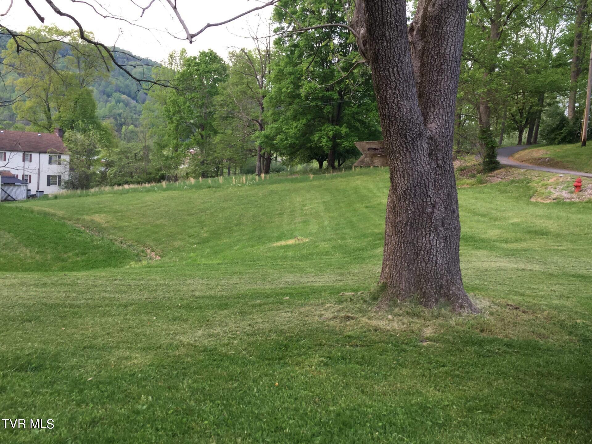 175 Hospital View Road Pennington Gap, VA 24277 - Photo 6 of 24 Yard 2