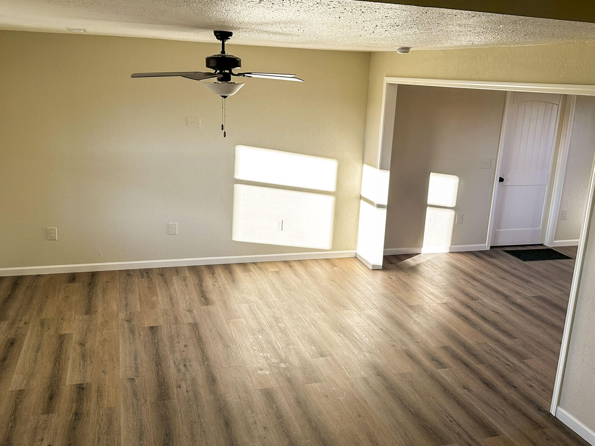 557 Kearney Road New Market, TN 37820 - Photo 24 of 48 26