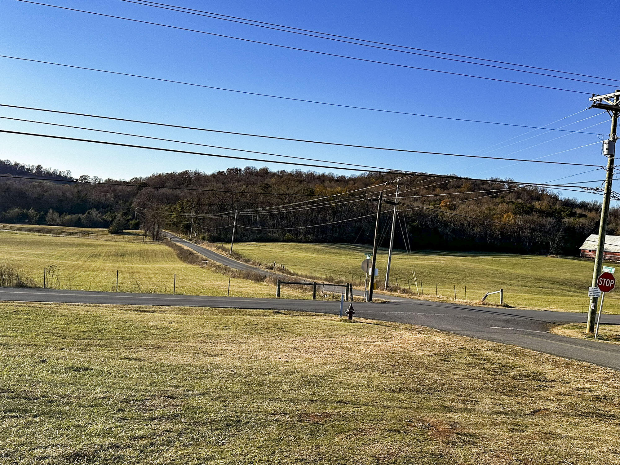 557 Kearney Road New Market, TN 37820 - Photo 43 of 48 45