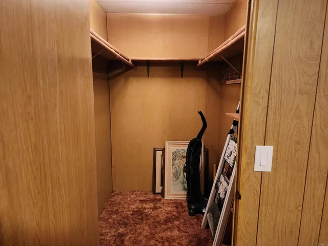 a view of walk in closet