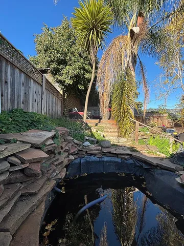 a view of a backyard