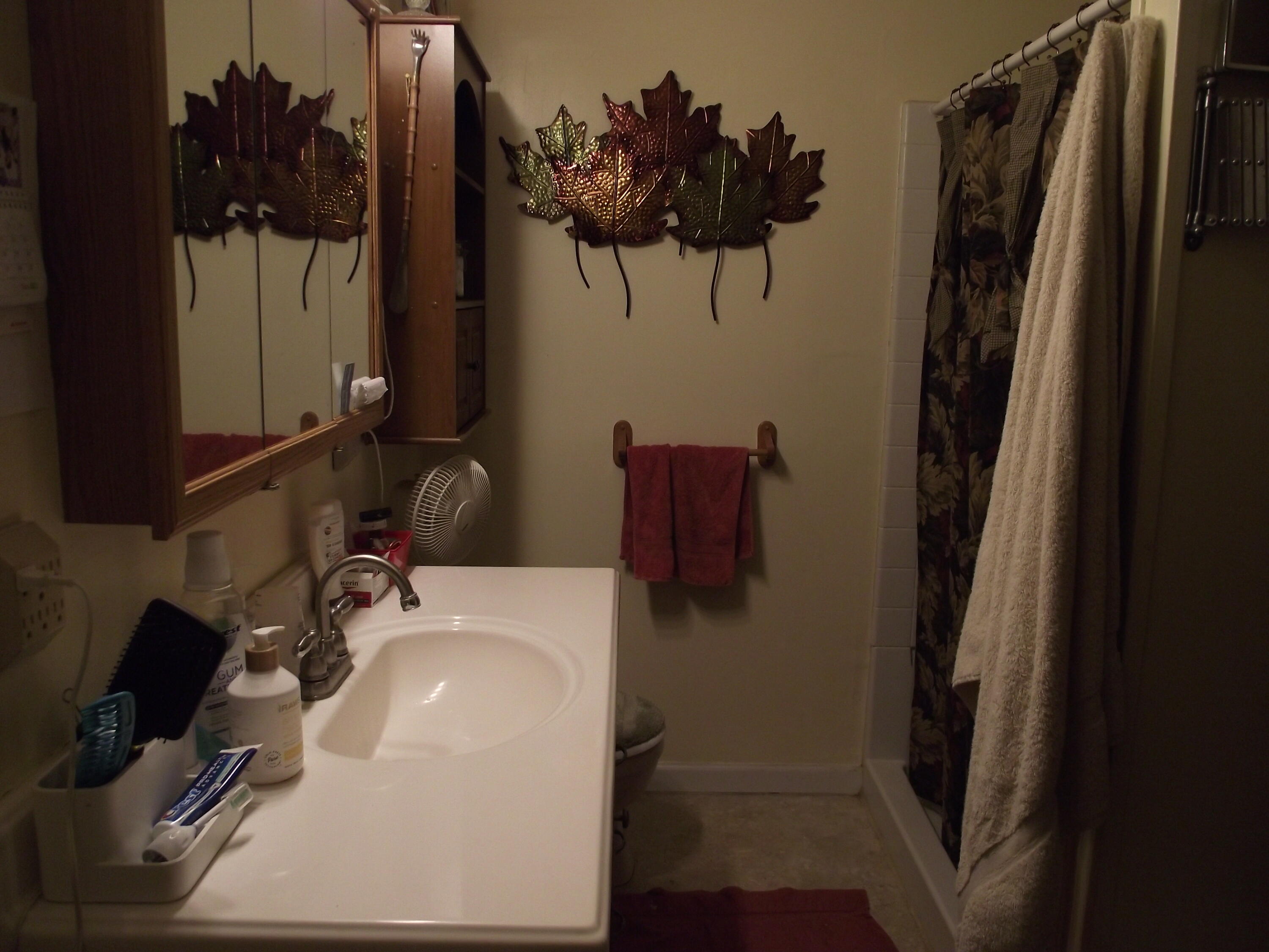 818 Pryor Cove Road Jasper, TN 37347 - Photo 11 of 19 Bath #2