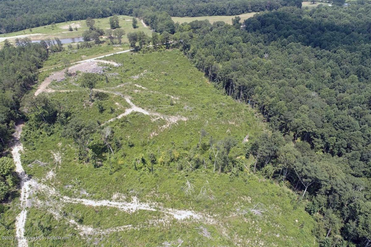 0 Co Road Crane Hill, AL 35053 - Photo 10 of 20 Gallery Image 10