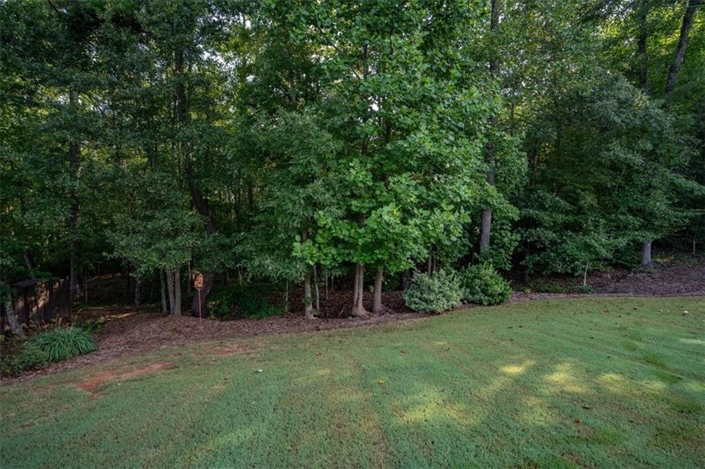 3065 Brooks Trail Monroe, GA 30656 - Photo 42 of 80