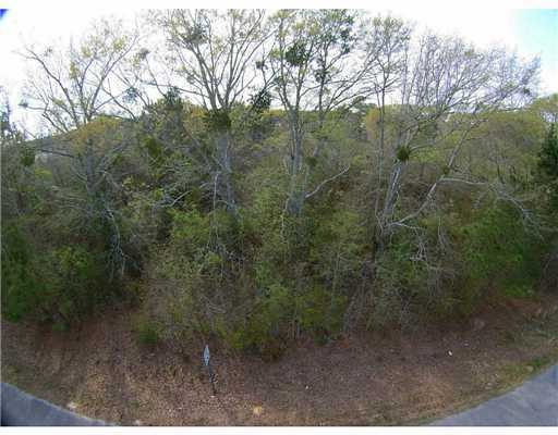 Lot 4 Lot Road Saucier, MS 39574 - Photo 6 of 12 Additional Photo