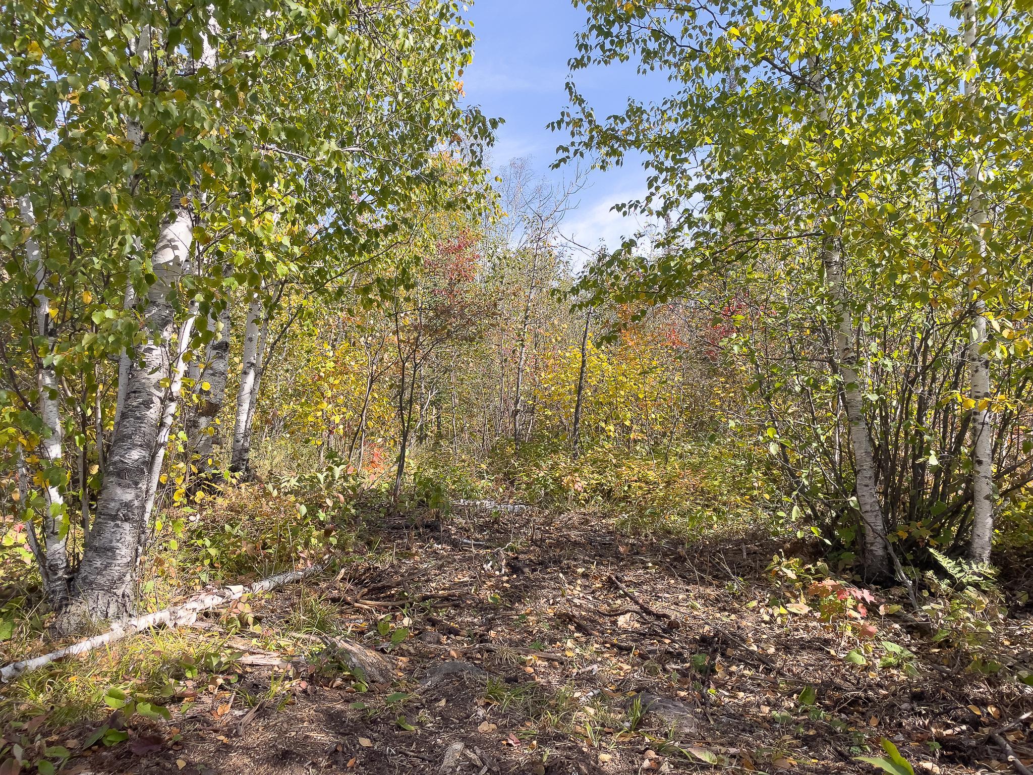52-xx 52-xx Ramsdell Heights Road Silver Bay, MN 55614 - Photo 15 of 26 Gallery Image 15