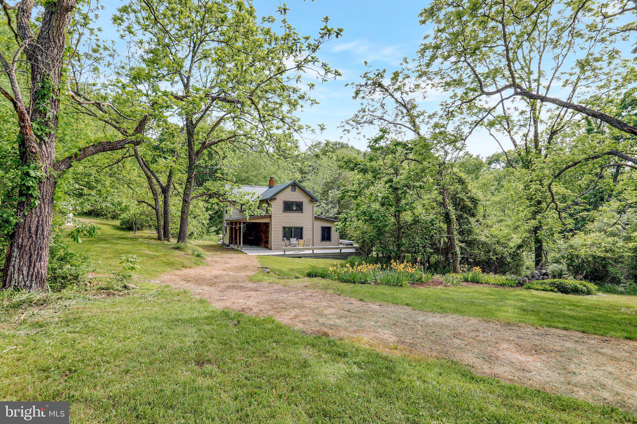 162 Terry's Road Berkeley Springs, WV 25411 - Photo 24 of 61