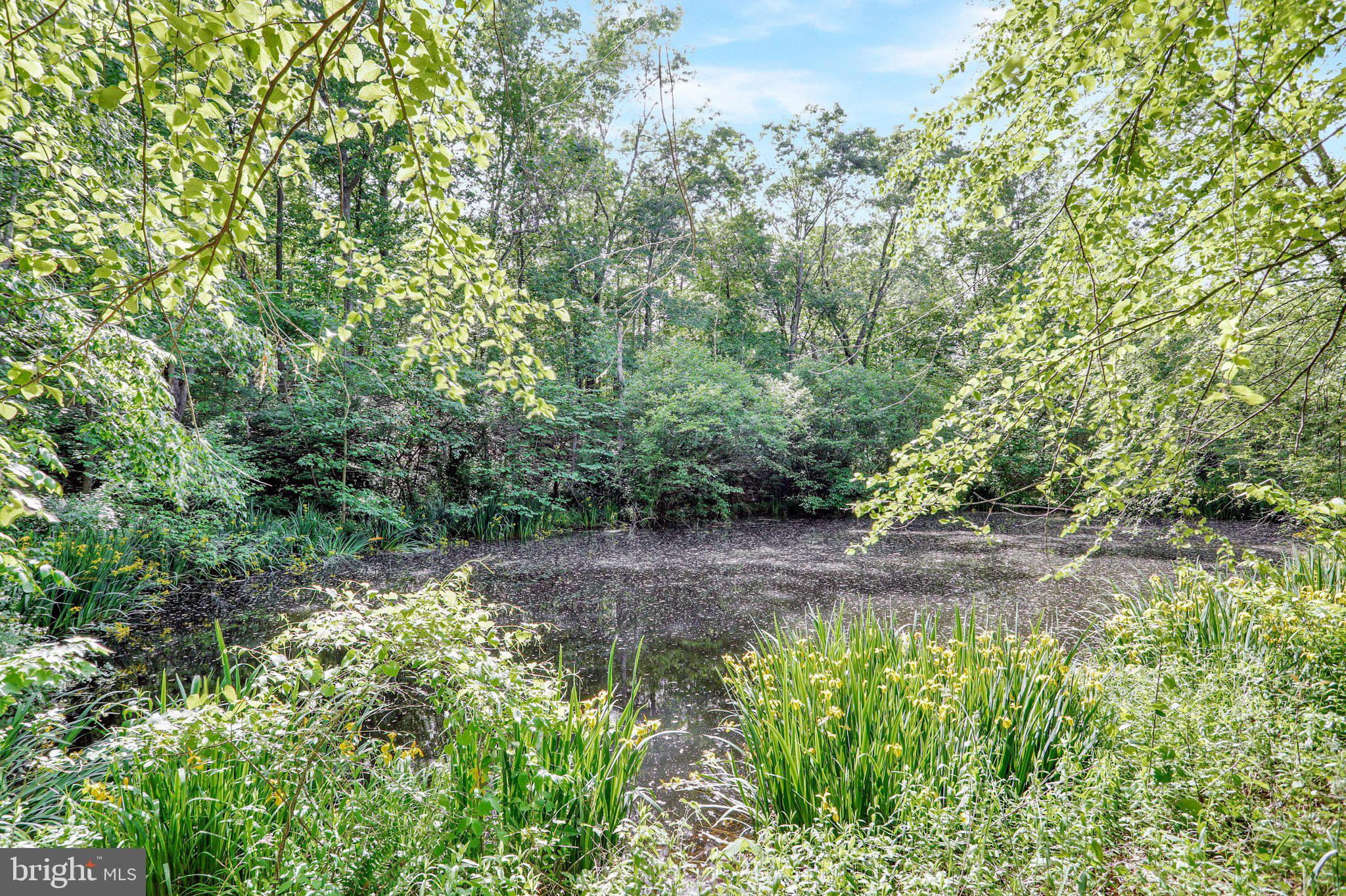 162 Terry's Road Berkeley Springs, WV 25411 - Photo 40 of 61