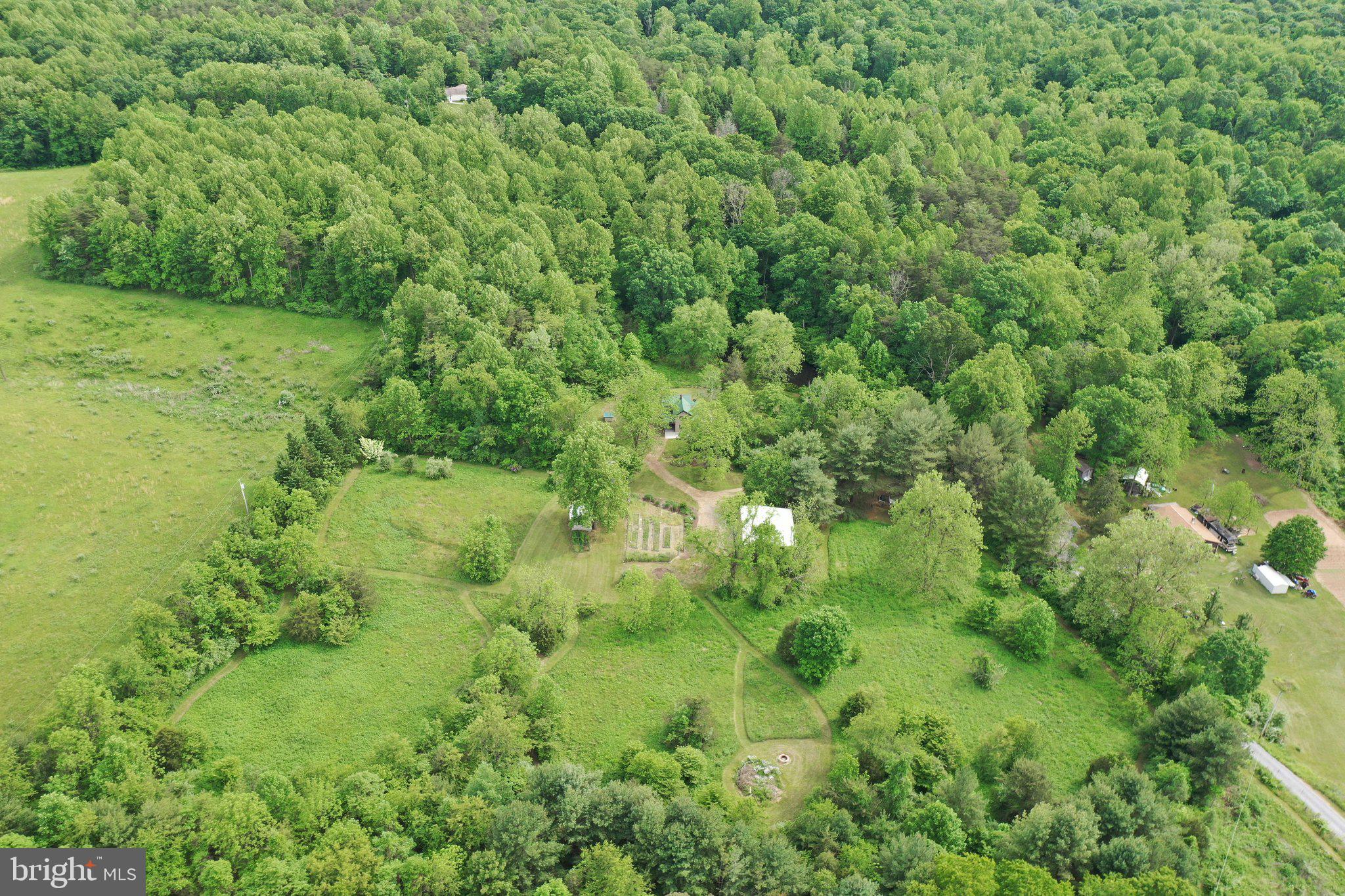 162 Terry's Road Berkeley Springs, WV 25411 - Photo 50 of 61