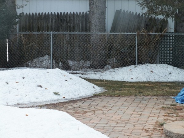 331 Wolf Swamp Road Longmeadow, MA 01106 - Photo 30 of 30