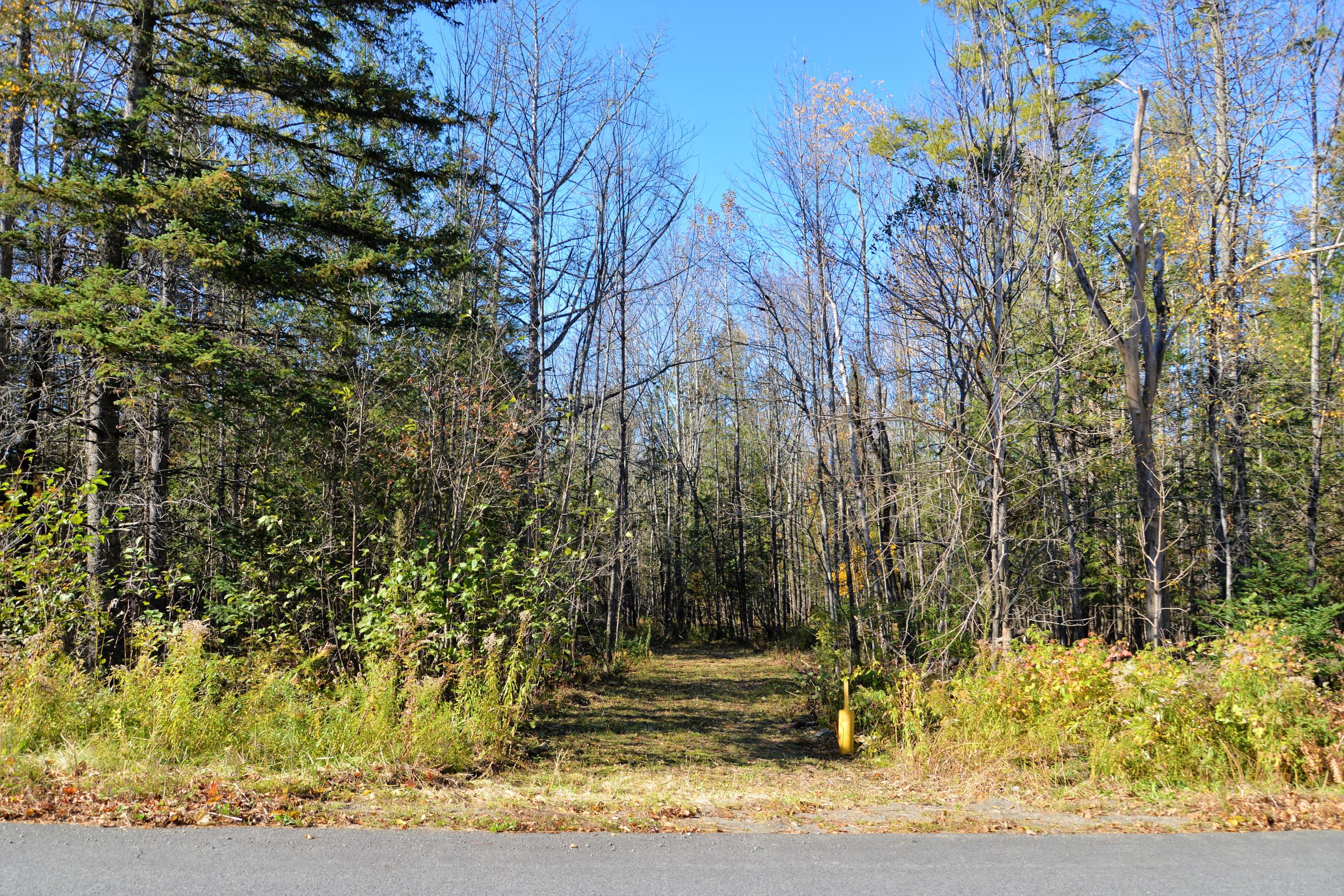 Lot 1 A Old Ripley Road Ripley, ME 04930 - Photo 4 of 11 New Photo Add 3