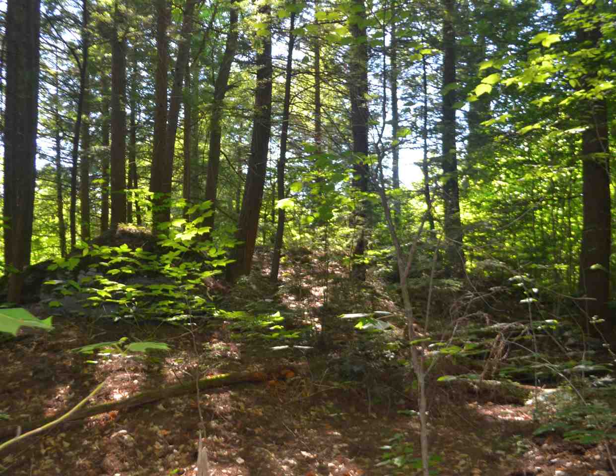 88 Ford MIll Road Danbury, NH 03230 - Photo 1 of 24 Gallery Image 1