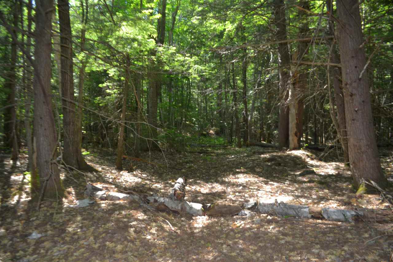 88 Ford MIll Road Danbury, NH 03230 - Photo 11 of 24 Gallery Image 11