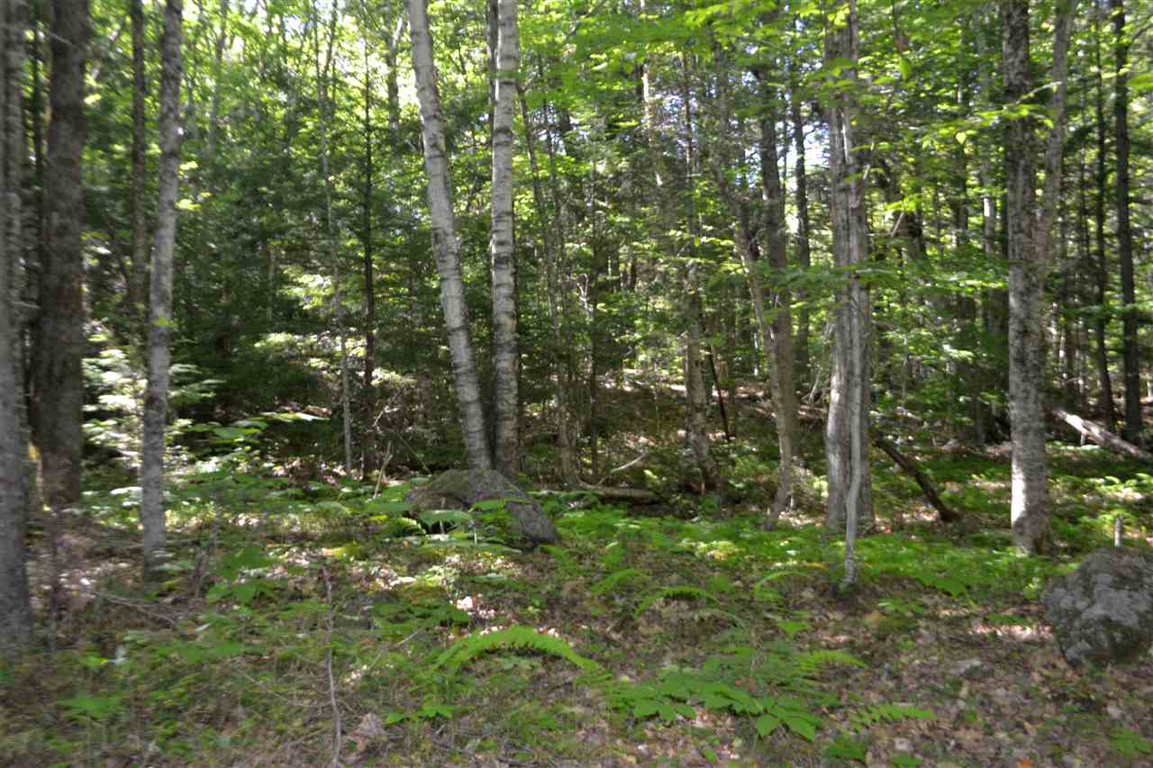 88 Ford MIll Road Danbury, NH 03230 - Photo 12 of 24 Gallery Image 12