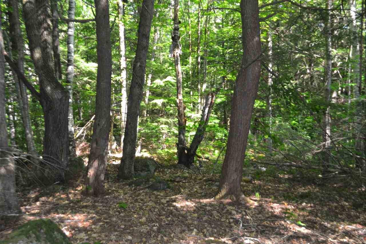 88 Ford MIll Road Danbury, NH 03230 - Photo 13 of 24 Gallery Image 13