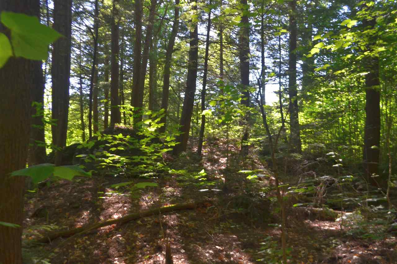 88 Ford MIll Road Danbury, NH 03230 - Photo 14 of 24 Gallery Image 14