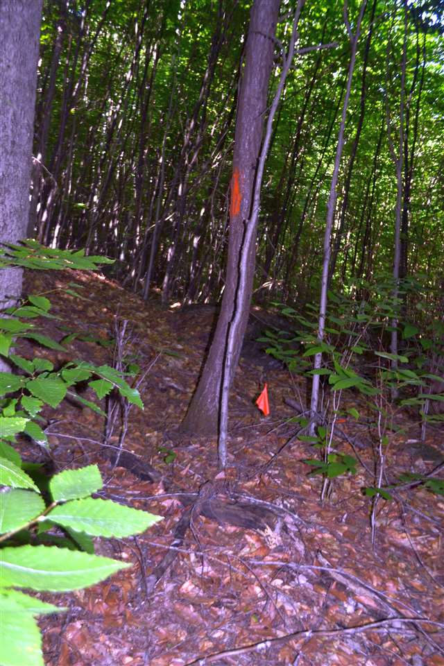 88 Ford MIll Road Danbury, NH 03230 - Photo 15 of 24 Gallery Image 15