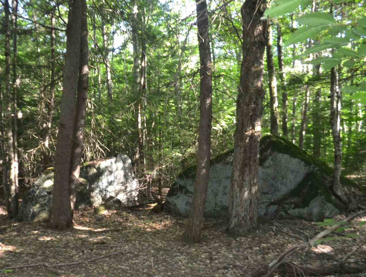 88 Ford MIll Road Danbury, NH 03230 - Photo 16 of 24 Gallery Image 16