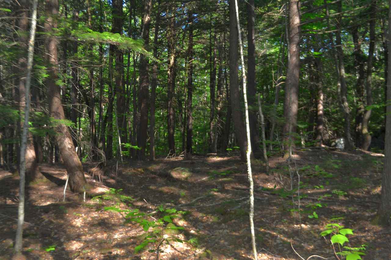 88 Ford MIll Road Danbury, NH 03230 - Photo 17 of 24 Gallery Image 17