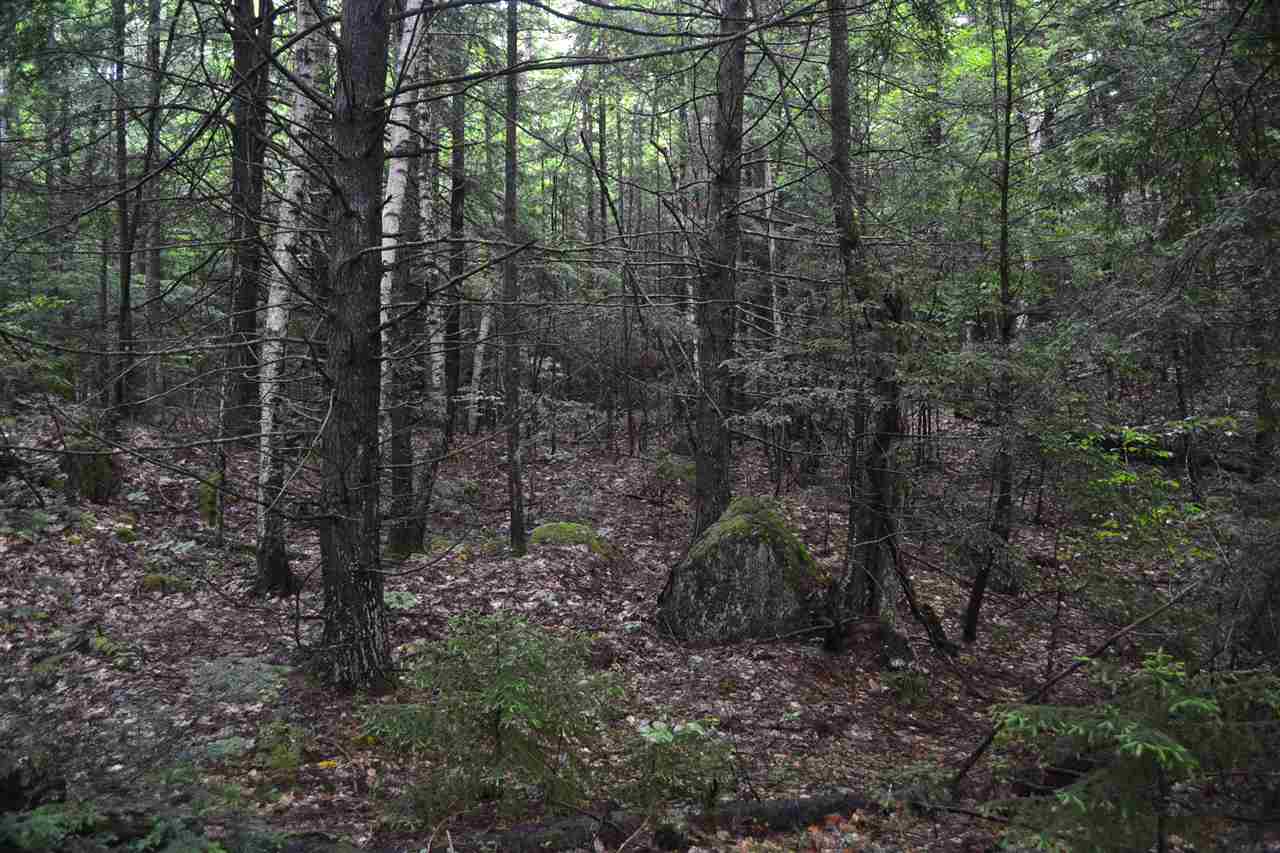 88 Ford MIll Road Danbury, NH 03230 - Photo 8 of 24 Gallery Image 8