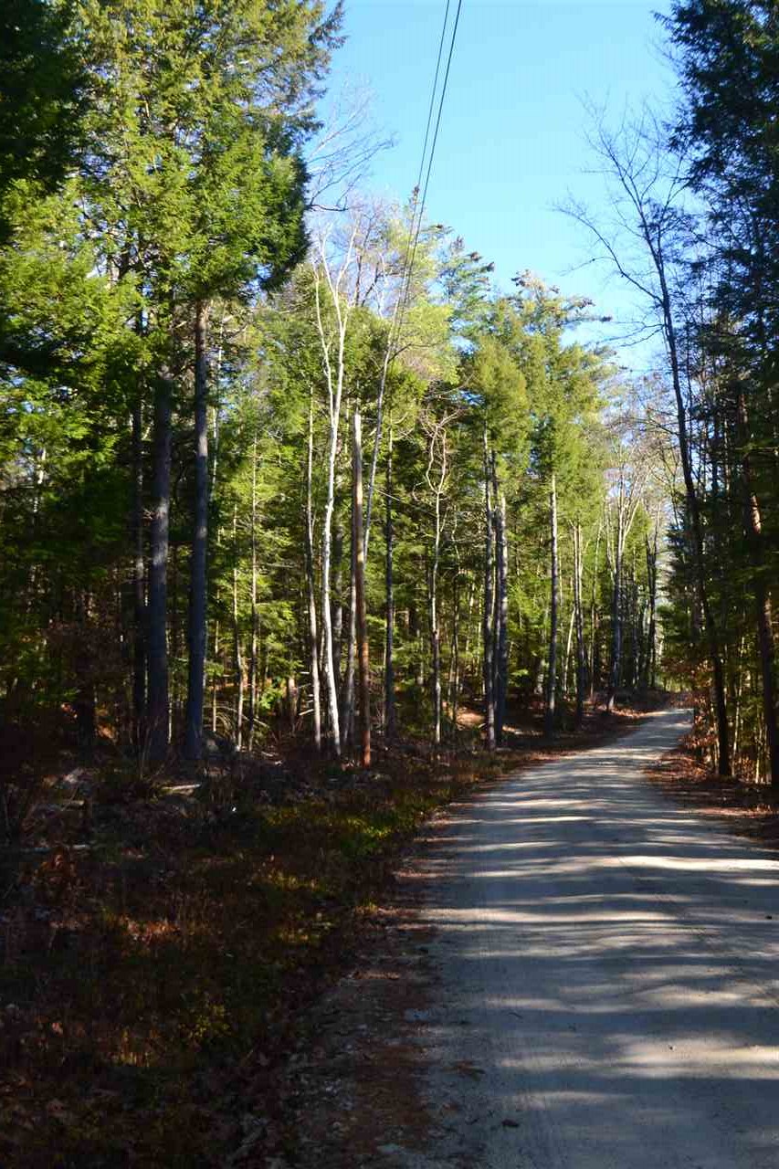 88 Ford MIll Road Danbury, NH 03230 - Photo 9 of 24 Gallery Image 9