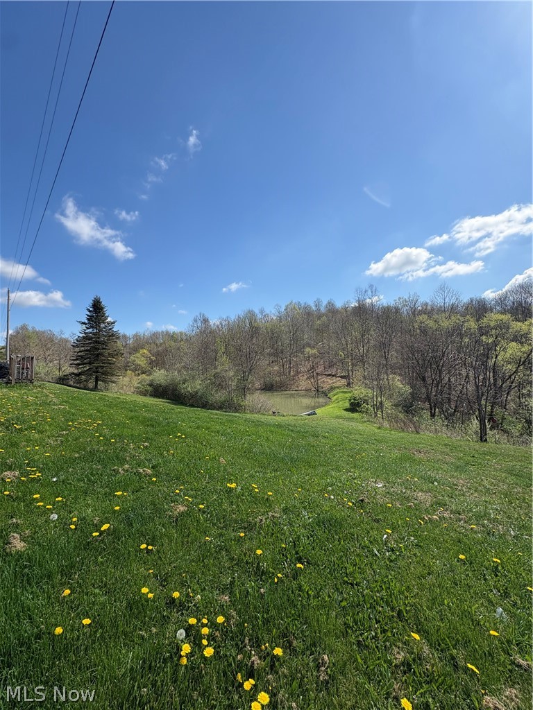 6547 Crane Run Road Cumberland, OH 43732 - Photo 2 of 2 Gallery Image 2