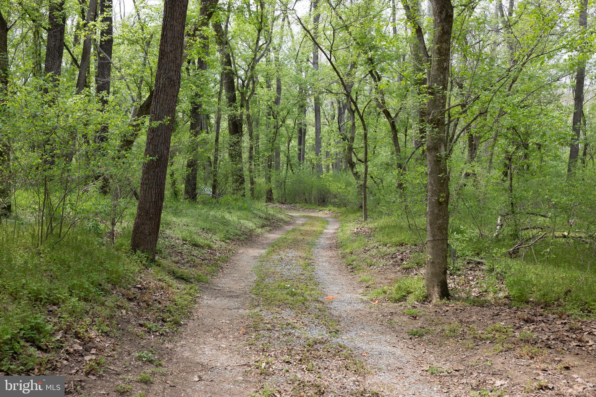789 Mill Run Road Shenandoah, VA 22849 - Photo 46 of 76 Gallery Image 46