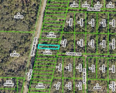 8388 Treiman Boulevard Webster, FL 33597 - Photo 3 of 3 a sign broad