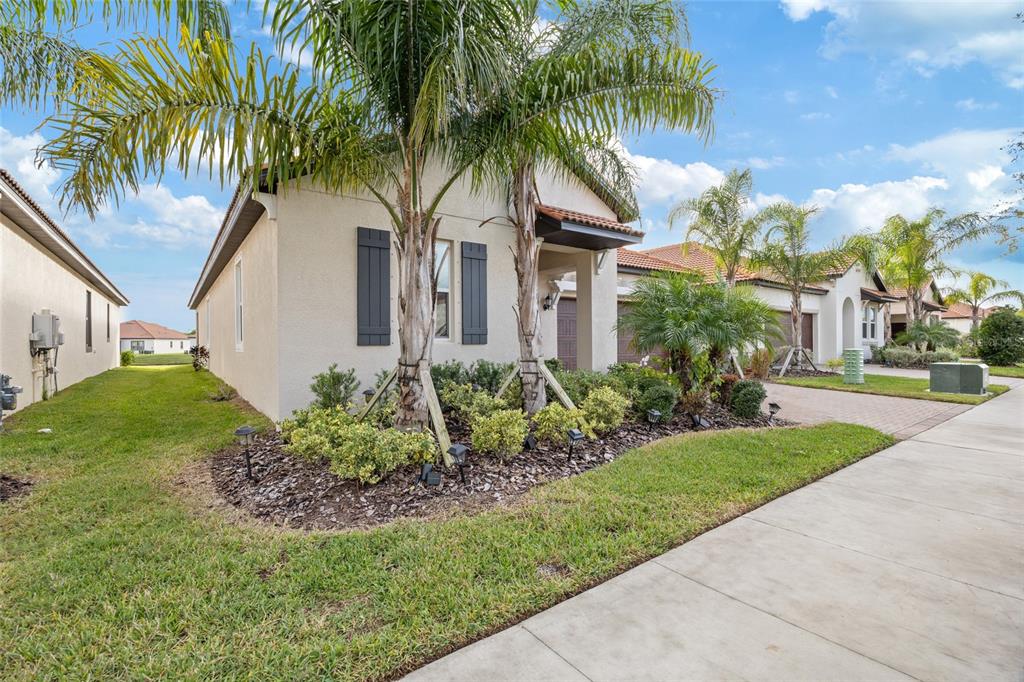 5513 Little Path Drive Wimauma, FL 33598 - Photo 5 of 40 a front view of house with yard and green space