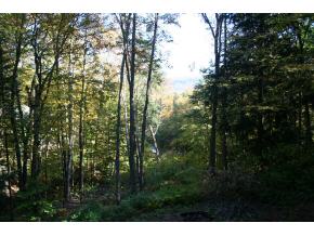 329 Howard Hill Road Londonderry, VT 05148 - Photo 2 of 4 Gallery Image 2