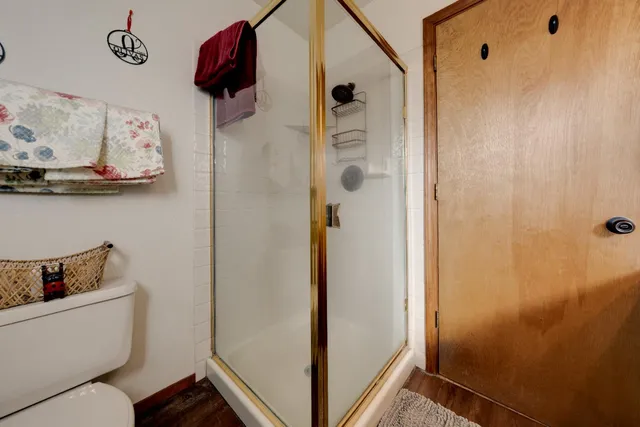 a bathroom with a shower and toilet