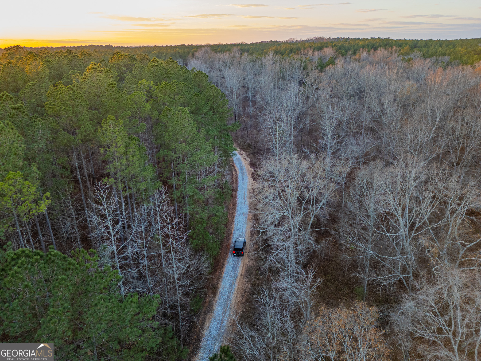 2 Smith Rocky Branch Road Carlton, GA 30627 - Photo 1 of 10