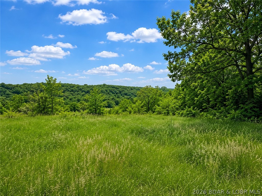 16390 Harris Road Jamestown, MO 65046 - Photo 1 of 9
