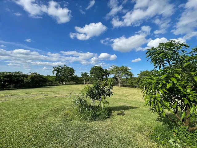 a view of a lake with a yard