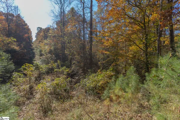 $2,649,643 | Fishers Cove Road, Fair Play, SC 29643