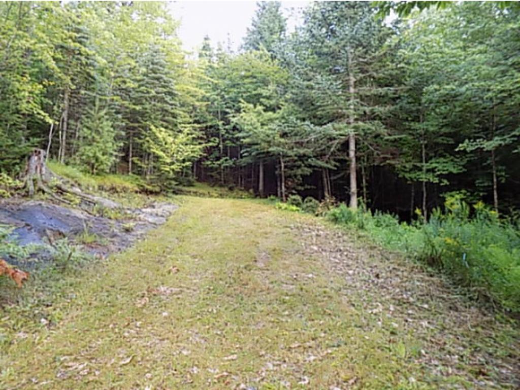 22 Langway Road Lyman, NH 03585 - Photo 4 of 11
