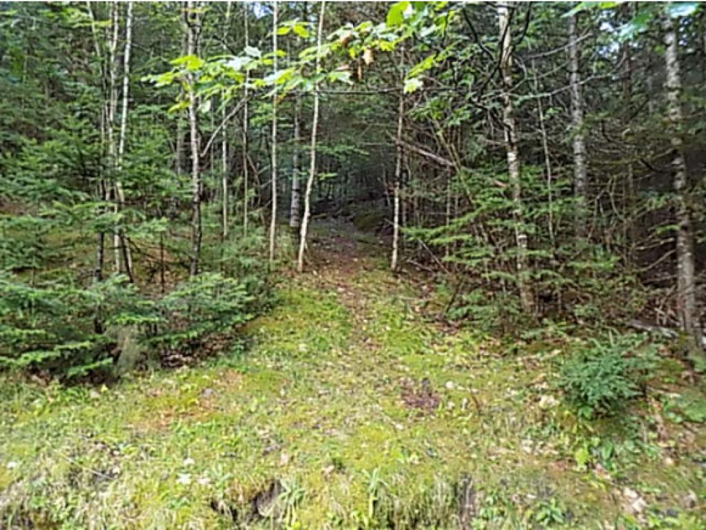 22 Langway Road Lyman, NH 03585 - Photo 5 of 11