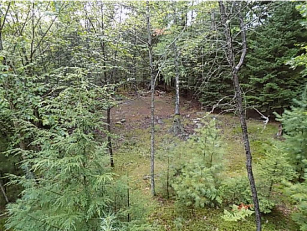 22 Langway Road Lyman, NH 03585 - Photo 10 of 11